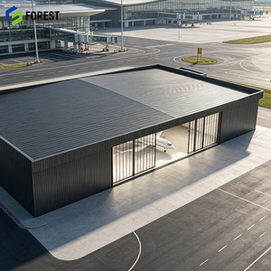 Hangar Modular de Acero Prefabricado de Alta Claridad, para Aviones, Depósito de Mantenimiento de Aviación - Product Image 1