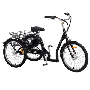 36V 250W Electric Tricycle 3 Wheelers Tricycle Cargo Tricycle With Basket 24 Inch 7 Speeds