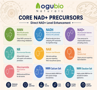 Polvo de Ribósido de Ácido Nicotínico 98% Precursor de NAD+ CAS 17720-18-2 Suministro a Granel Ingrediente de Suplemento Dietético para la Longevidad