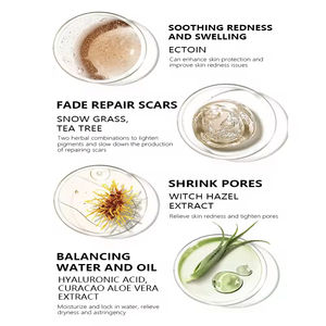 Ensemble de soins de la peau contre l'acné avec logo personnalisé, acide salicylique, hydratant, cosmétiques biologiques végétaliens, kit de soins de la peau pour peaux grasses - Product Image 2