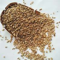 Fu Xiao Mai Herbal Cina Mentah AD Gandum Kering Terapung (Fructus Tritici Levis) untuk Teh & Kecantikan