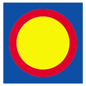 Venta al por mayor profesional <span class=keywords><strong>UWW</strong></span> aprobado roll out jiu jitsu mats12x12m 8x8m PVC jiu jitsu <span class=keywords><strong>Wrestling</strong></span> <span class=keywords><strong>Mat</strong></span> Cover/roll out <span class=keywords><strong>mat</strong></span> - Product Image 5