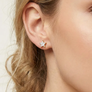 Boucles d'oreilles tendance en zircon étoile pour femmes, plaquées or véritable 18 carats, acier inoxydable 304, électroplaqué sous vide, imperméables, ne se décolore pas - Product Image 1