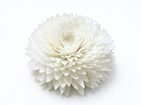 Diffuseur de parfum en roseau de 8-9 cm de diamètre, fleurs en sola avec corde en coton, fleurs artisanales en sola, fleurs en bois sola