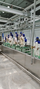 Chaîne de production automatisée avancée pour l'abattage de chèvres – Équipement d'abattoir en acier pour la transformation de viande halal - Product Image 5