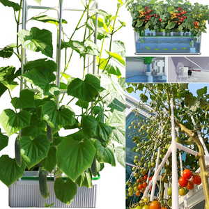 self watering planter watering levitating plant pot plastik macetas para plantas rectangular nursery pots