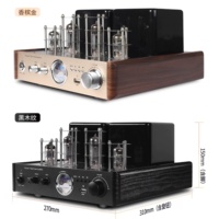Mable Audio AV-2030 Ev Tipi Metal Gerçek Tüp Stereo Hi-Fi 2.0 Kanal USB Amplifikatör Optik/Koaksiyel Girişli