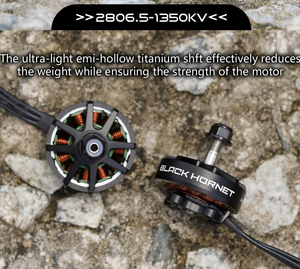 Moteur Brushless Foxeer Black Hornet 2806.5 1350KV 4-6S pour Hexacoptère Octocoptère/Quadcopter – Pièces de Course Haute Performance - Product Image 5