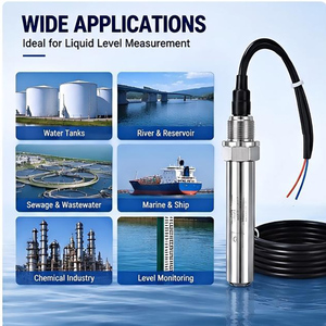 Sensor de nivel de agua sumergible para embarcaciones, 4-20mA, acero inoxidable 316L, IP65, 0.5% de precisión, para balasto marino y agua dulce - Product Image 3