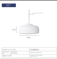 Lustre en fer nordique antique Bauhaus pour restaurant lampes simples personnalisées pour étude de chambre à coucher avec barre de filet cellulaire AC Power