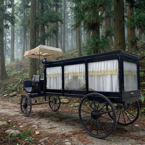 Precio al por mayor, nuevo vehículo fúnebre eléctrico negro, carroza para ataúdes, carroza fúnebre para la venta - Product Image 1