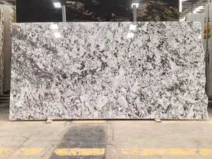 White <strong>Orion</strong> <strong>Granite</strong> Price Big Slabs Countertops Vanity Tops Prefab White <strong>Granite</strong> - Product Image 2