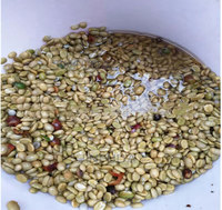 Machine automatique de dépulpage de grains de café frais décortiquant la dépulpeuse d'épluchage