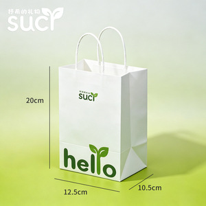 Coffret/sac cadeau miniature de paysage en miniature avec mousse de pelouse, un ornement créatif en forme de plante verte, un coffret cadeau à offrir à des amis. - Product Image 4