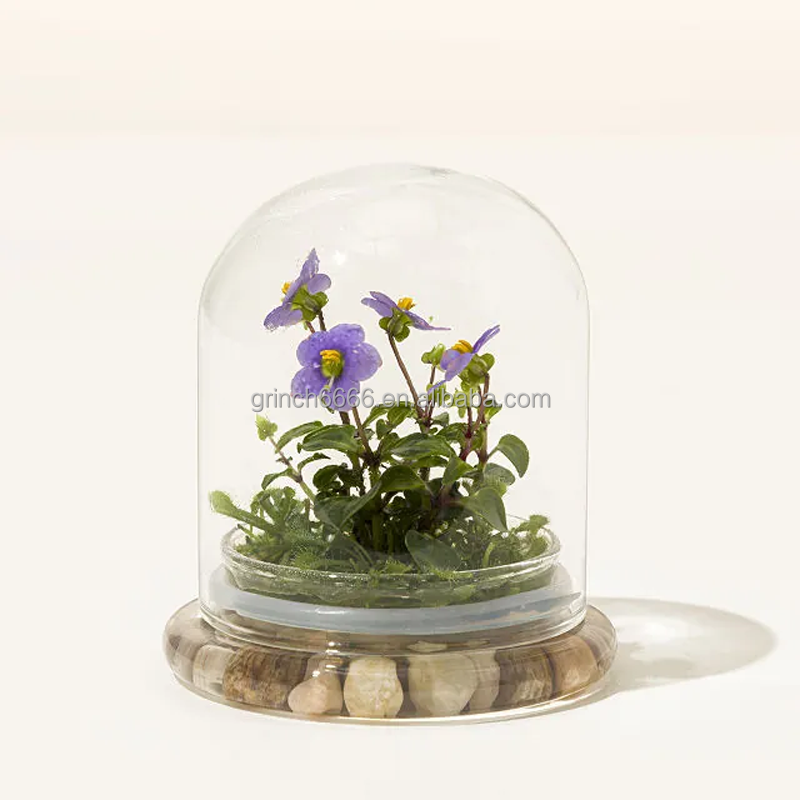 OEM Orchid Terrarium