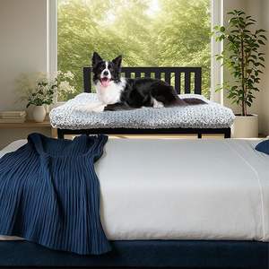 Naast Hond Stapelbedden Voor Grote Honden, Metalen Honden Bedframe Met Afneembaar Kussen-Groot - Product Image 3