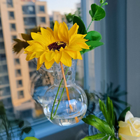 DM1168 Vases à ampoules en acrylique pour plantes vertes, avec ventouse et crochet, DIY, vases muraux en plastique transparent pour fleurs