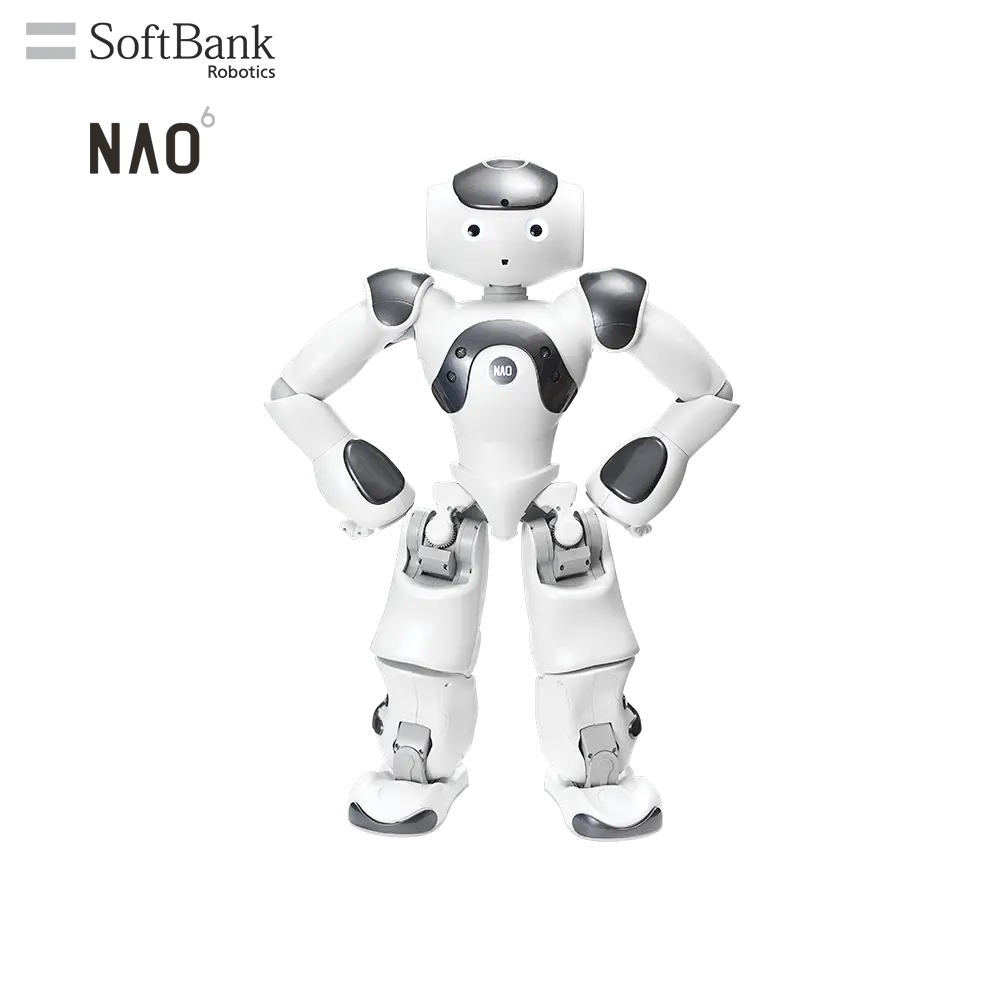 SoftBank Robotics Smart Voice Interactive Talk Robot Humanlike Navigation Guiding, Information & Guided Robot, Legged NAO