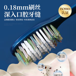 Cepillo de Dientes para Adultos con Cerdas Medianas y Duras para Eliminar Manchas Difíciles, Precio de Fábrica - Product Image 5