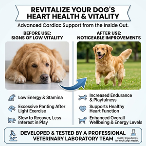 Gocce di Supporto Cardiaco con Estratto di Biancospino per il Ritmo Cardiaco di Cani con Rumori Cardiaci GMP ISO COA - Product Image 2