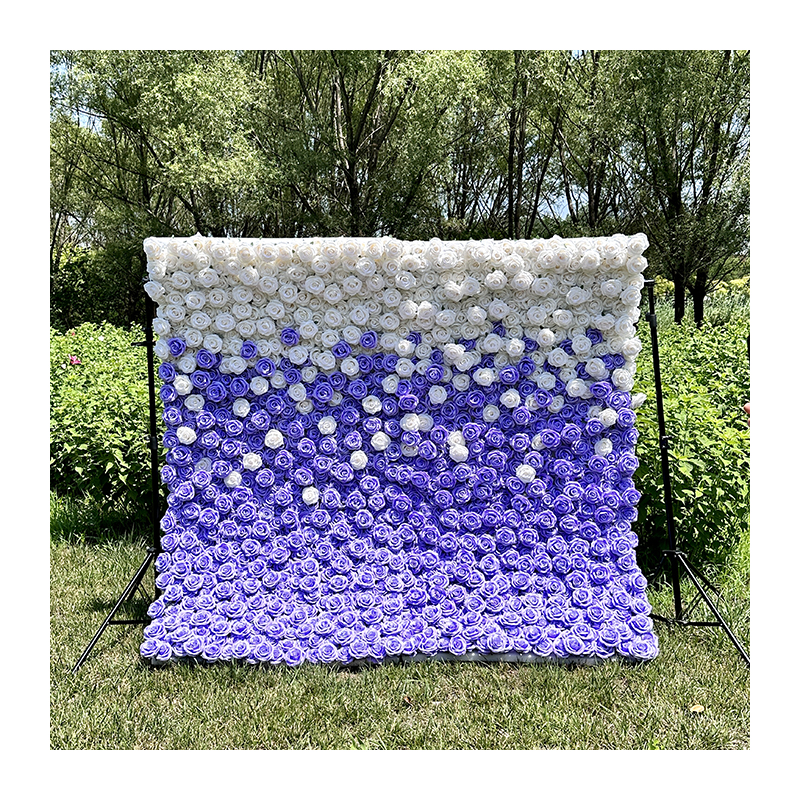 White + Purple
