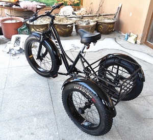 <span class=keywords><strong>Bicicleta</strong></span> Reclinada de Uso Popular 2026, Triciclo Rickshaw de <span class=keywords><strong>3</strong></span> <span class=keywords><strong>Ruedas</strong></span> para Adultos, Bakfiets Holandés de <span class=keywords><strong>3</strong></span> <span class=keywords><strong>Ruedas</strong></span> con Pedales/Triciclo - Product Image 5