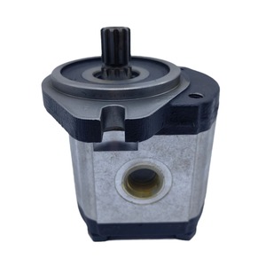 Pompe hydraulique à engrenages Doosan Daewoo D51325022 pour chariot élévateur électrique BR15S BR18S 250 bars 1 étage - Product Image 5