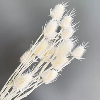 Direkt vom Hersteller: Natürlich konservierte Distelblüten, getrocknete Blumen für Heimdekoration, getrocknetes Eryngium