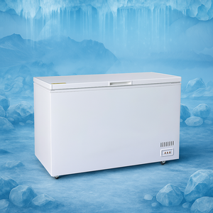 450L 560L 650L 750L thương mại công suất lớn tủ lạnh tủ đông ngang bọt cửa sâu tủ đông - Product Image 4