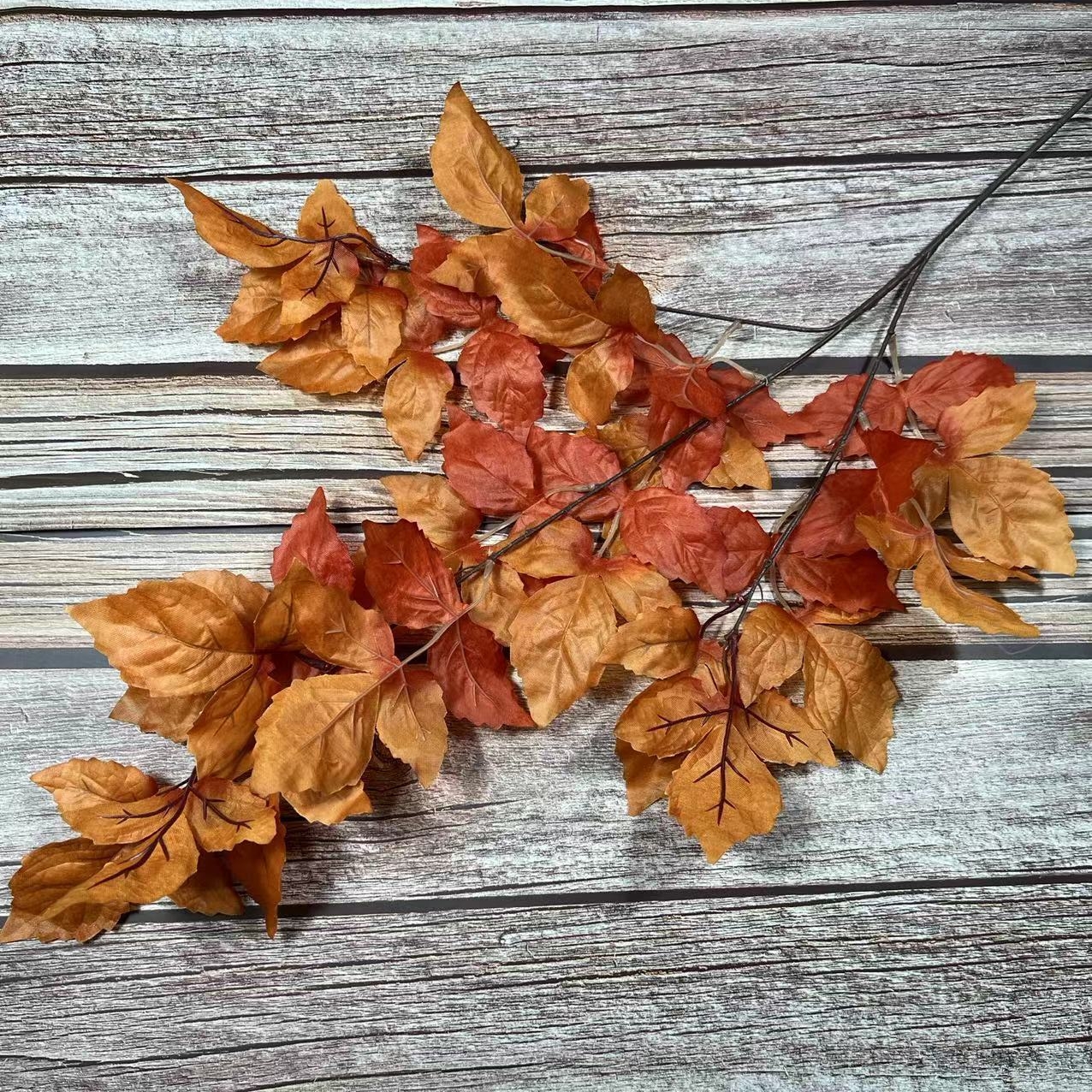 #4 foglie di manioca