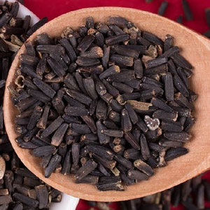 ดอกเดซี่สดจากแหล่งผลิตเดย์ซี่ เหมาะสำหรับตกแต่งสวนดอกไม้กลางแจ้ง - Product Image 2