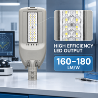 Lampadaire LED optique étroit en alliage d'aluminium IP67 AC de 40 à 75W pour l'éclairage extérieur des routes, des jardins et des parcs industriels