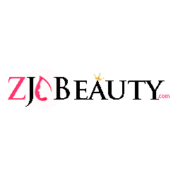 Changsha Zjinchen Technology Co., Ltd. logo