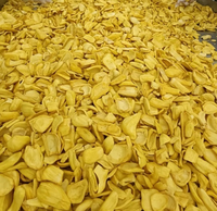 Gedroogde Jackfruit Sample Beschikbaar Natuurlijk Zonder Toegevoegde Suiker Gebakken Zoete Harde Textuur Fruit Snacks