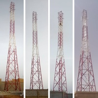 Tour des télécom RDS avec le poteau de GSM et les poteaux de MW avec le dessus de toit de parenthèses