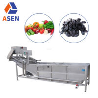 Meloen En Fruitwasmachine Industriële Fruitwasdroogmachine