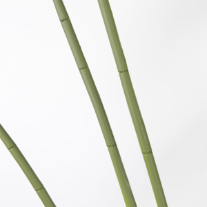Plante artificielle de 240 cm, oiseau de <span class=keywords><strong>paradis</strong></span> artificiel en pot, plante verte pour la décoration intérieure de la maison et du bureau - Product Image 3