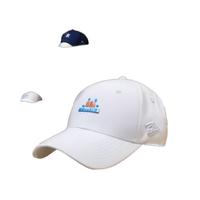 Premium Sportieve Stijl Golfhoed Custom Ademende Polyester Mesh Fruit Laser Gesneden Gat Geperforeerde Baseballpet