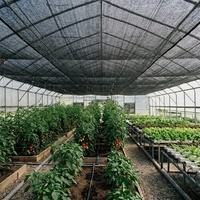 Zwarte HDPE warp gebreide schaduwnet met 70-90% schaduwgraad, heavy duty, UV-gestabiliseerd, anti-veroudering, voor landbouw en kassen.