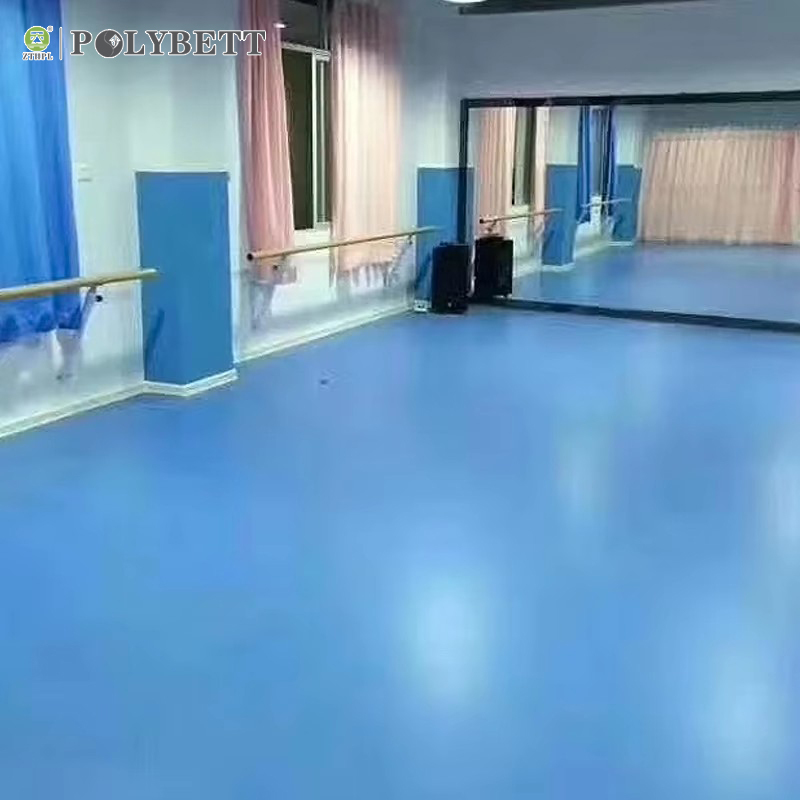 Vinyl Pvc Kindergarten Ballet Dance Room