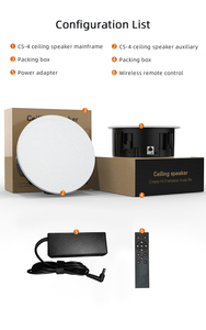 Altavoz de Techo Activo Inalámbrico Coaxial Bidireccional de 6.5 Pulgadas con Micrófonos Inalámbricos, Altavoz de Pared para Sistemas de Cine en Casa - Product Image 6
