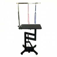 Table de toilettage pour animaux de compagnie hydraulique électrique professionnelle avec hauteur réglable et surface antidérapante pour chiens et chats