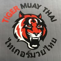 Tapis de judo en PVC, tapis de jiu-jitsu, tapis de MMA, tapis de judo tatami, tapis de taekwondo, tapis d'arts martiaux enroulable