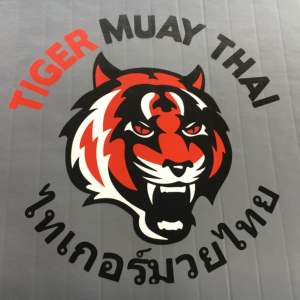 เสื่อยูโด ยิวยิตสู เสื่อ MMA เสื่อยูโดแบบทาทามิ เสื่อเทควันโด เสื่อศิลปะการต่อสู้แบบม้วนได้ - Product Image 4