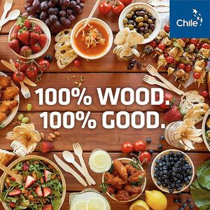 Thân Thiện Với Môi Phân Hủy Sinh Học Tre Dao Kéo Đặt Dùng Một Lần Dĩa Và Pre-Cán Khăn Ăn Cho Du Lịch Đám Cưới Bên - Product Image 6