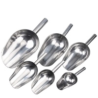 Pelle à glace OEM en acier inoxydable épaissie, spéciale pour les salons de thé, pelle à fruits secs et à thé