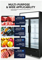 Réfrigérateur Commercial à Double Porte pour Boissons, Vitrine Verticale de Luxe, Équipement de Réfrigération pour Boissons