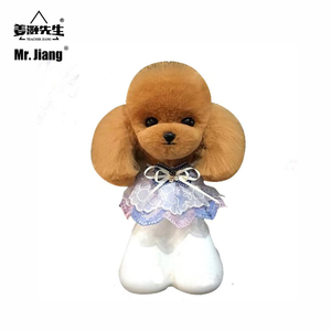 Mr.Jiang Teddy Head Hair <span class=keywords><strong>Pet</strong></span> Teacher Beauty Modeling Practice Dog Model Standard Skeleton Model Dog Whole Body Hair - Product Image 2