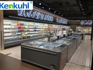 Süpermarketler için Kenkul ticari ada dondurucu ekran balık ve gıda 200L- 700L kapasitesi, CE/Certified sertifikalı (B2B/toptan) - Product Image 3