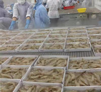 Équipement de congélation rapide en tunnel haute efficacité pour produits de boulangerie, pâtisseries et rouleaux de printemps avec contrôle PLC
